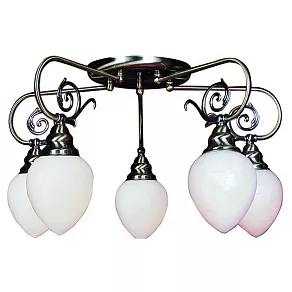 Потолочная люстра Arte Lamp Salzburg A3853PL-5AB