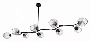 Подвесная люстра EVOLUCE Rametto SLE154843-09