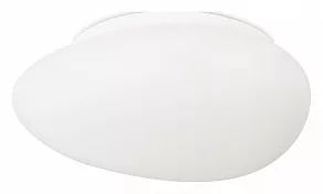 Накладной светильник SIMPLE STORY 1205 1205-LED12CL