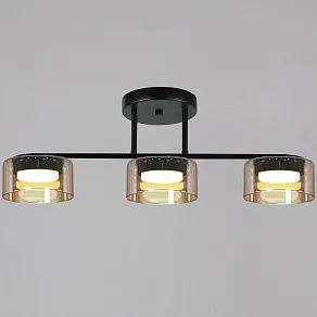 Люстра на штанге Reluce  02743-0.3-03