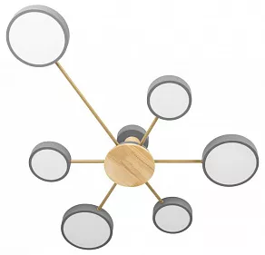 Потолочная люстра Loft it Sunrise 10316/6 Grey