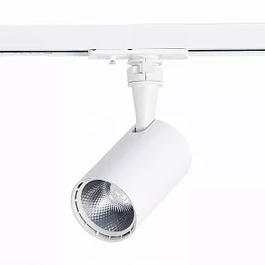 Светильник на штанге ST-Luce Cami ST351.536.10.24