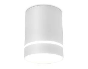 Накладной светильник Ambrella TN TN280