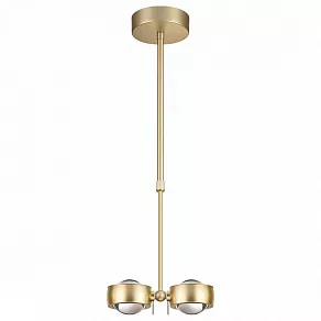 Светильник на штанге Odeon Light Ottico 3874/20L