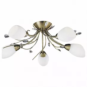 Потолочная люстра Arte Lamp Gardenia A2766PL-5AB