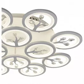 Потолочная люстра F-promo Ramus 2390-12U