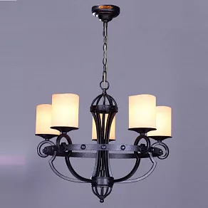 Подвесная люстра L'Arte Luce Fort L50305.46