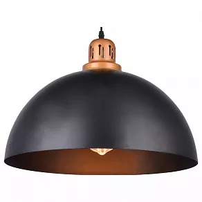 Подвесной светильник Arte Lamp Eurica A4249SP-1BK