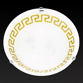 Накладной светильник TopLight Gien TL9171Y-02BN