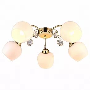 Потолочная люстра Arte Lamp Millo A9549PL-5GO