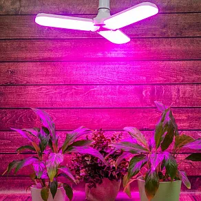 Лампа светодиодная Uniel  E27 24Вт K UL-00007407