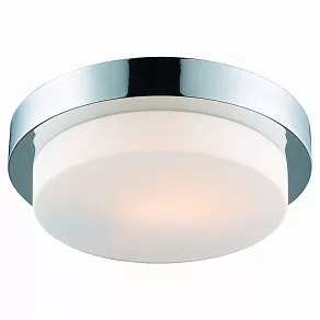 Накладной светильник ST-Luce Bagno SL498.502.01