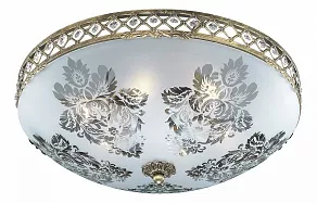 Накладной светильник Odeon Light Aspena 2776/6C