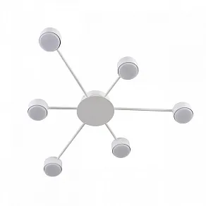 Потолочная люстра Lumion TORINA 8343/6C