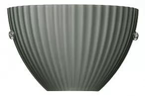 Накладной светильник Lightstar Agola 810811