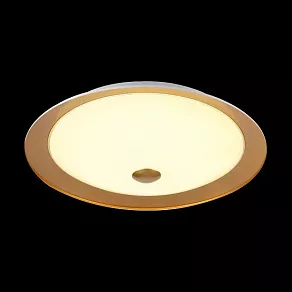 Накладной светильник Maytoni Euler CL815-PT50-G