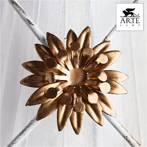 Бра Arte Lamp Fortuna A5495AP-1WG