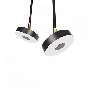 Потолочная люстра Loft it Flock 10189/1000