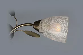 Люстра на штанге Omnilux OML-393 OML-39307-06