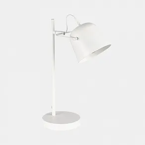 Настольная лампа офисная EVOLUCE Blank SLE1805-504-01