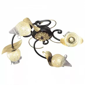 Потолочная люстра Odeon Light Anaba 2691/4C