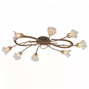 Потолочная люстра Odeon Light Alba 1365/8A