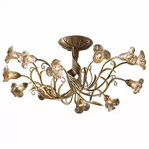 Потолочная люстра Odeon Light Aura 1814/12