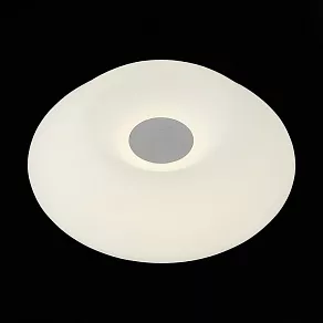 Накладной светильник ST-Luce 557 SL557.052.01