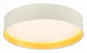 Накладной светильник EVOLUCE Brescia SLE300552-01
