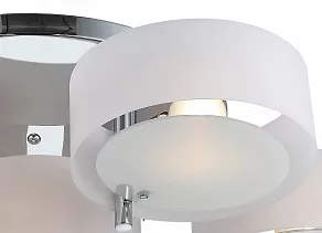 Потолочная люстра EVOLUCE Foresta SL483.502.07