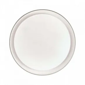 Накладной светильник Sonex Bionic 3030/DL