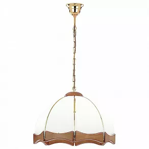 Подвесной светильник Alfa Czajka 772