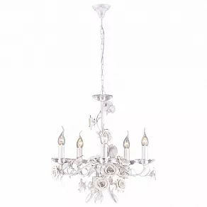 Подвесная люстра Arte Lamp Estimate A2036LM-5WG