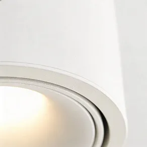Накладной светильник Wertmark WTA.O06 WTA.O06.007.30.07