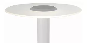 Наземный низкий светильник ST-Luce SL099 SL099.505.01