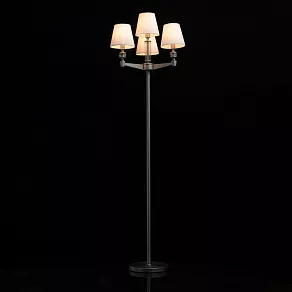 Торшер MW-Light Дэль Рей 8 700043104