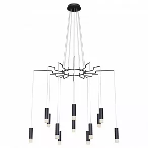 Подвесная люстра Maytoni Davida MOD035PL-12B