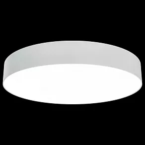 Накладной светильник Maytoni Zon C032CL-L48W3K
