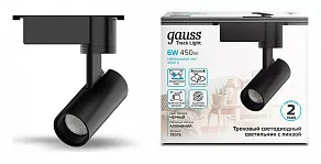 Светильник на штанге Gauss TR TR076