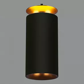 Подвесной светильник Elektrostandard DLS021 9+4W 4200К DLS021 9+4W 4200К