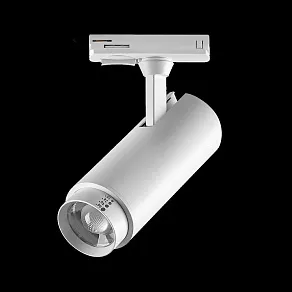 Светильник на штанге Lightstar Fuoco P+CCT 218016