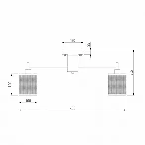Потолочная люстра Eurosvet Tela 70109/5 хром