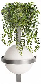 Бра Loft it Jardin 10121W/B Dark grey