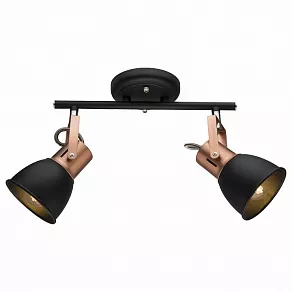 Спот Arte Lamp 1677 A1677PL-2BK