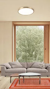 Накладной светильник Milosh Tendence 888 0888CL-50GD