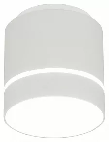 Накладной светильник Citilux Борн CL745020N