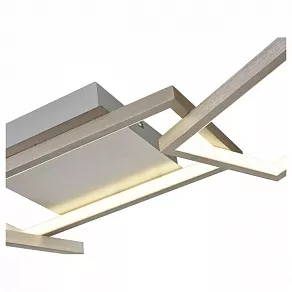 Накладной светильник Vele Luce Netta VL7075L03
