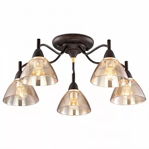 Потолочная люстра Odeon Light Treves 2625/5C