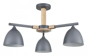 Люстра на штанге Lumion Colange 8096/3C