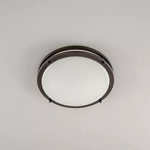 Накладной светильник Citilux Бостон CL709325N